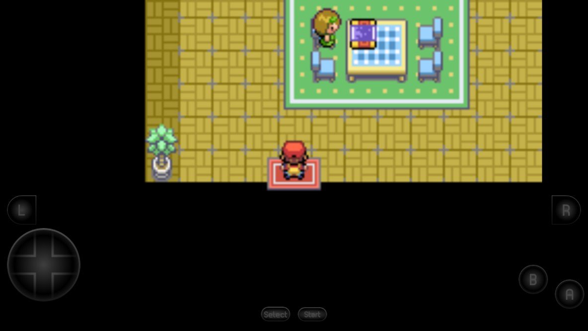 口袋妖怪日月宝石八木特别篇截图1