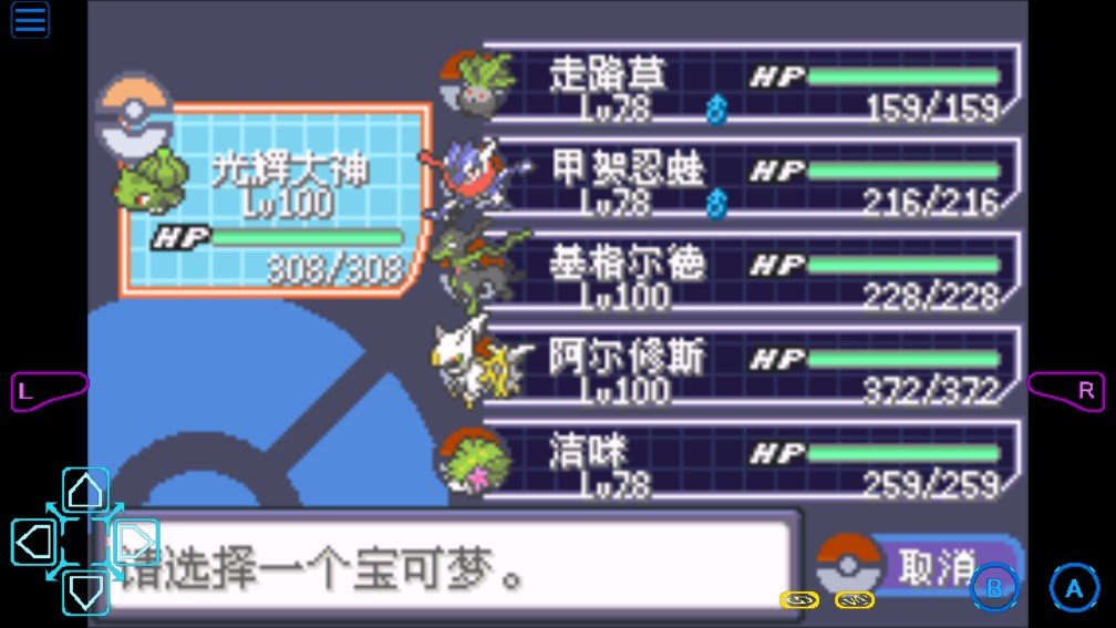 口袋妖怪日月宝石八木特别篇截图3