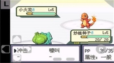 口袋妖怪火红版386金手指截图3