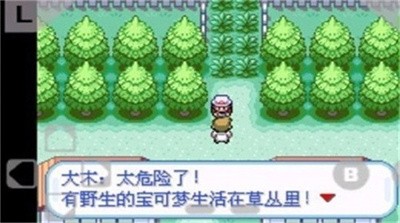 口袋妖怪火红版386金手指截图2