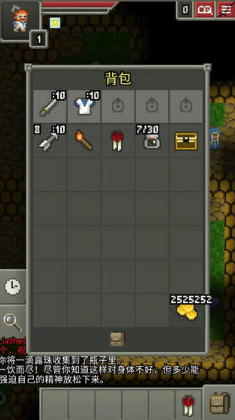 暗黑像素地牢0.7.2汉化最新版本截图2