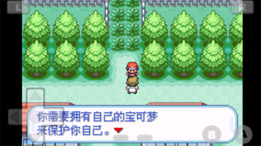 口袋妖怪火红gba版截图3