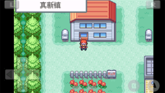 口袋妖怪火红gba版截图2