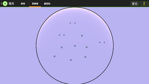 细胞实验室v103汉化版最新版本截图2