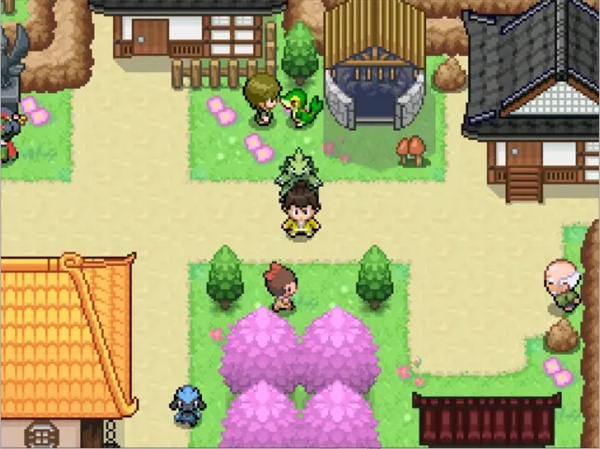 宝可梦武士道手机版截图2