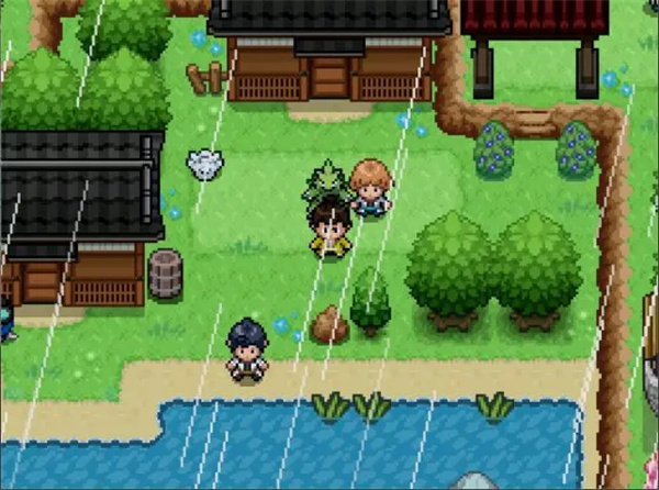 宝可梦武士道手机版截图4