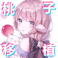 pixelbunny官方正版