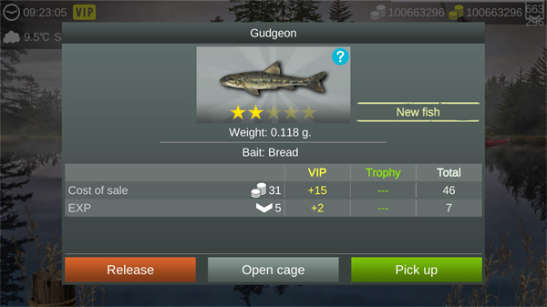 我的钓鱼世界中文版