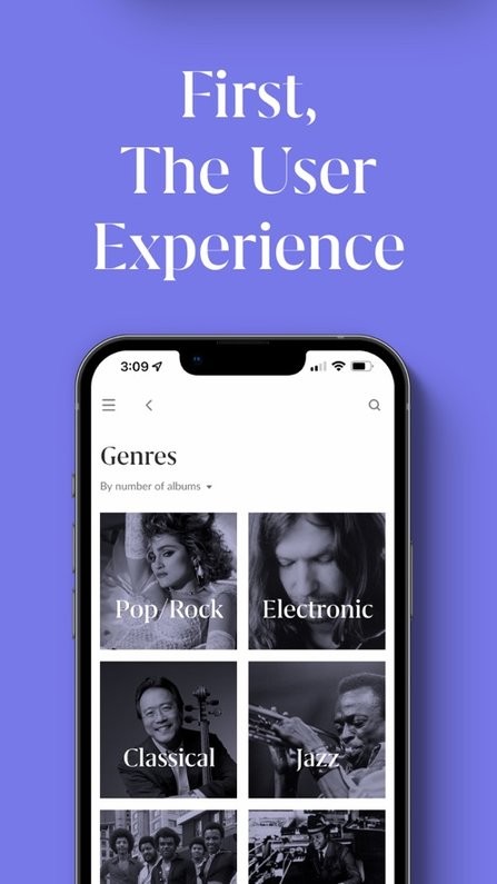 roon音乐软件截图1