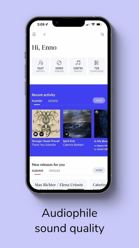 roon音乐软件截图2