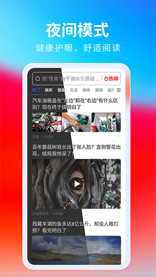 飞觅浏览器极速版截图1