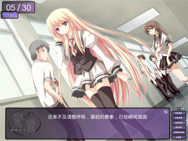 鸑鷟镜花水月截图3