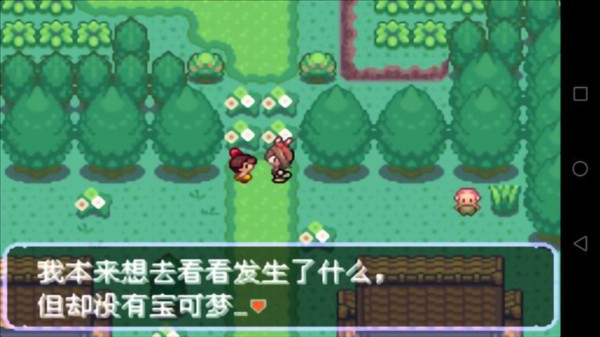 口袋妖怪刽曜之影内置作弊菜单版