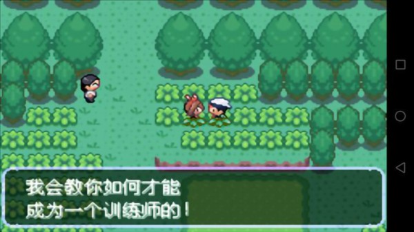 口袋妖怪刽曜之影内置作弊菜单版