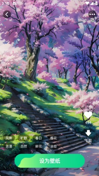 动态流光壁纸使用方法2