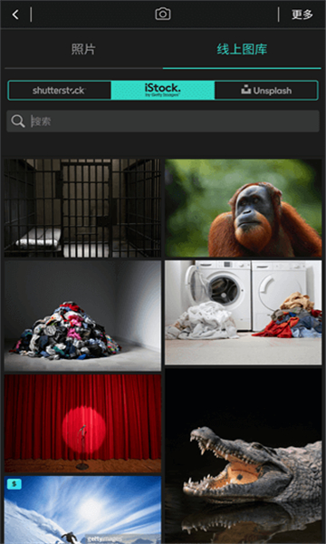 相片大师最新版截图1