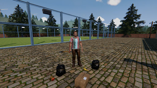 足球场模拟器截图1