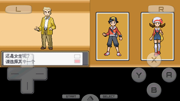 口袋妖怪心金完善版1.0截图4