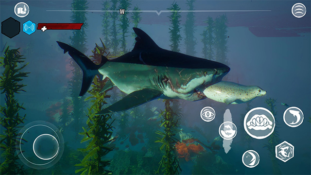 食人鲨(Maneater)截图3