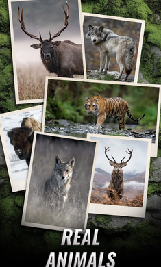 狩猎狙击手截图3