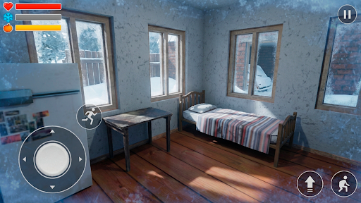 我的冬季汽车汉化版截图2