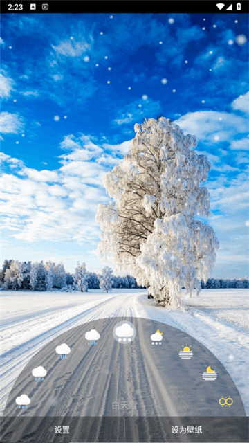 优美壁纸截图4