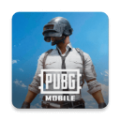 pubg外服手机版