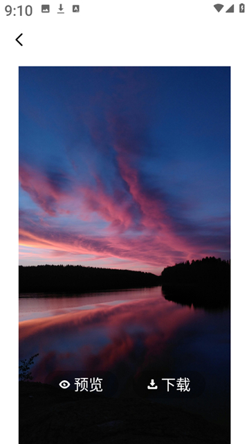 海豚壁纸安卓版截图1