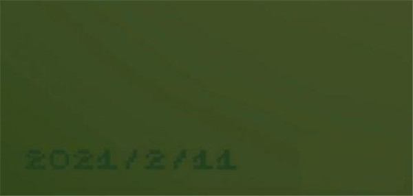 电子女孩模拟器