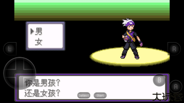 口袋妖怪漆黑的魅影截图1