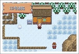 口袋妖怪漆黑的魅影