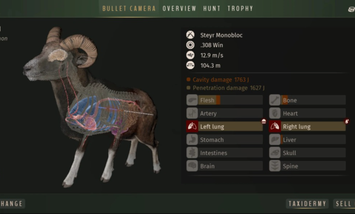 猎人之路狂野欧洲截图3