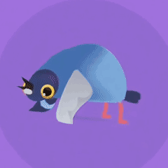 疯狂的鸽子内置菜单