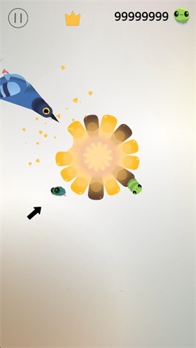 pigeon疯狂的鸽子