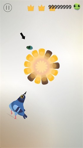 pigeon疯狂的鸽子