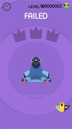 pigeon疯狂的鸽子