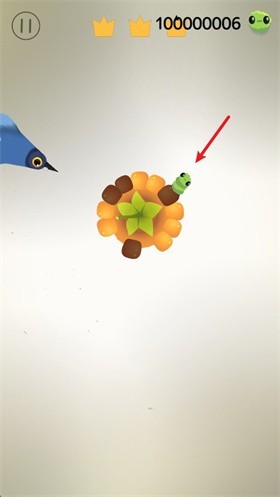 pigeon疯狂的鸽子