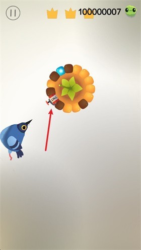 pigeon疯狂的鸽子