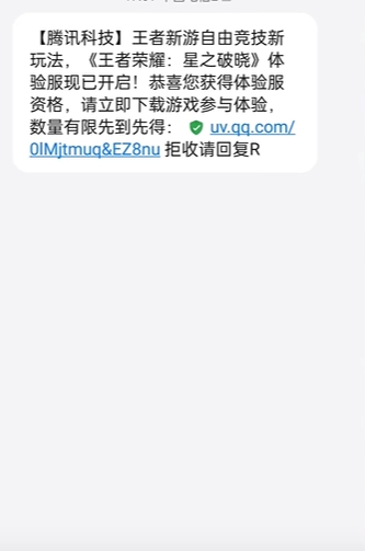 王者荣耀星之破晓体验服