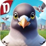 疯狂的鸽子游戏官方版