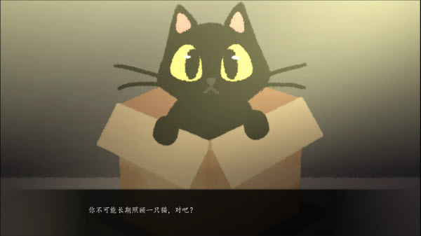 别带这只猫回家截图3