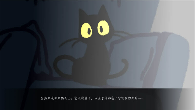 别带这只猫回家