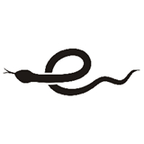 小蛇浏览器手机安卓版