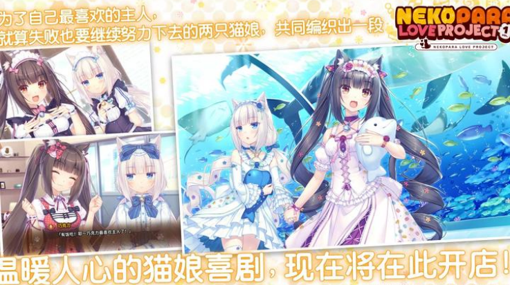 猫娘乐园汉化完整版截图1