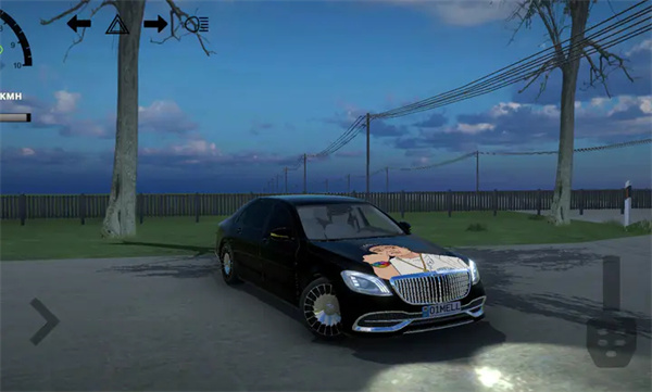 仿真汽车模拟器无限版截图2