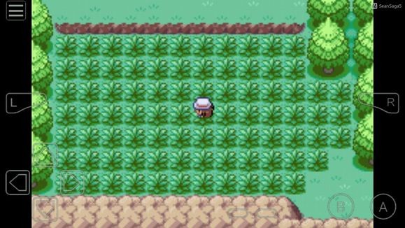 口袋妖怪叶绿368版gba安卓版截图4