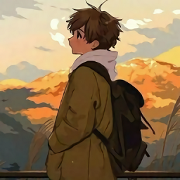 神针画质助手手机版