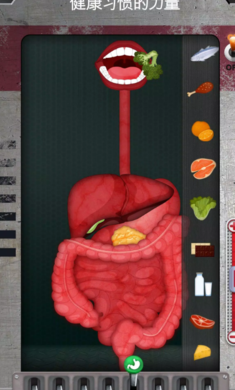 人体是如何运作的截图1