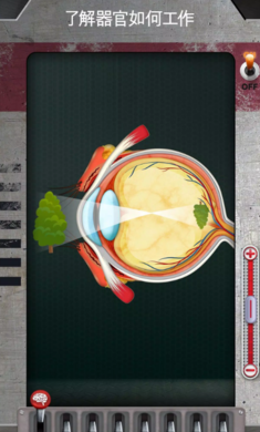 人体是如何运作的截图2