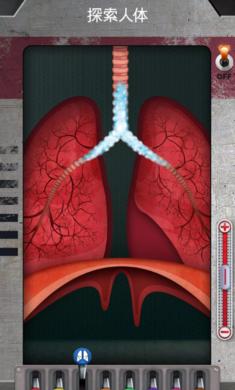 人体是如何运作的截图3